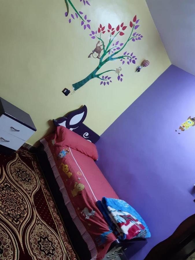 Freedom Nubian Guest House Assouan Extérieur photo