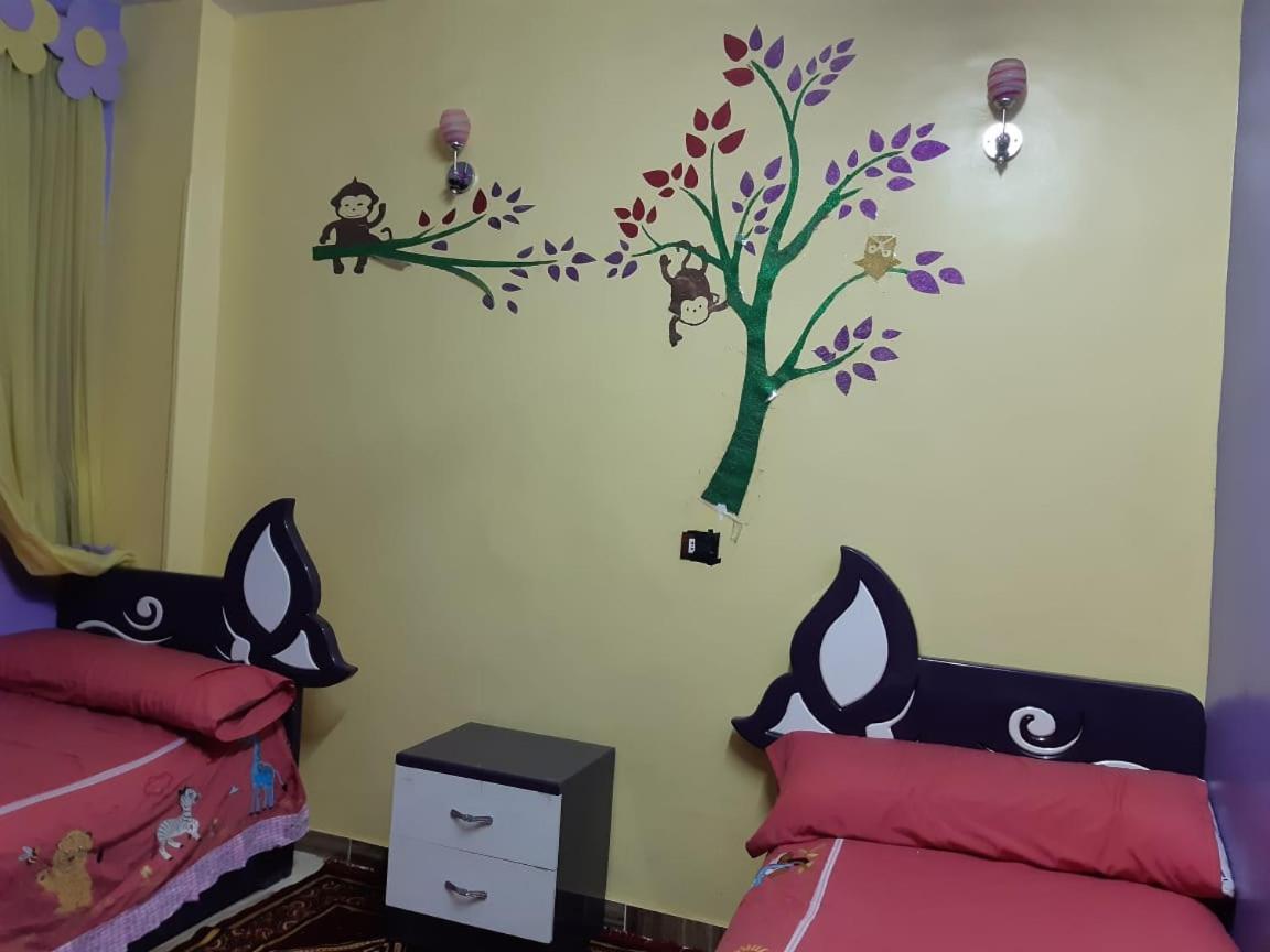 Freedom Nubian Guest House Assouan Extérieur photo